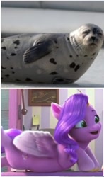 Size: 776x1320 | Tagged: safe, edit, edited screencap, screencap, pipp petals, pegasus, pony, seal, ali-conned, g5, my little pony: make your mark, my little pony: make your mark chapter 2, chubby, comparison, female, harp seal, mare, pipp is chubby, solo focus