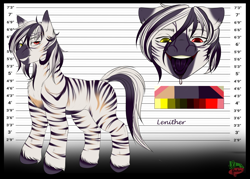 Size: 7000x5000 | Tagged: safe, artist:salemsalami, oc, oc only, oc:lenither, zebra, absurd resolution, adult blank flank, big smile, blank flank, chest fluff, colored pupils, dock, drool, eye clipping through hair, faded stripes, floppy ears, grin, heterochromia, lidded eyes, looking at you, male, missing cutie mark, open mouth, open smile, reference sheet, shoulder fluff, smiling, smiling at you, solo, stallion, tail, tall, tongue out, unshorn fetlocks, zebra oc