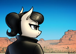 Size: 3508x2480 | Tagged: safe, artist:apocheck13, oc, oc only, oc:elya, earth pony, anthro, clothes, desert, earth pony oc, female, high res, jacket, solo