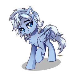 Size: 2500x2500 | Tagged: safe, artist:stesha, oc, oc only, pegasus, pony, blue eyes, chest fluff, commission, eyebrows, eyebrows visible through hair, folded wings, full body, high res, looking at you, male, pegasus oc, raised hoof, sad, sad face, simple background, solo, stallion, tail, white background, white mane, white tail, wings
