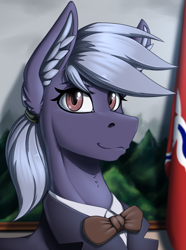 Size: 2000x2692 | Tagged: safe, artist:twotail813, oc, oc:nova whirl, pony, equestria at war mod, bust, clothes, female, high res, looking at you, portrait, solo