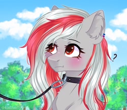 Size: 1770x1534 | Tagged: safe, artist:freyamilk, oc, oc only, oc:skyshard melody, pegasus, pony, amused, blushing, cloud, collar, commission, cute, ear fluff, ear piercing, female, leash, mare, nature, outdoors, park, pegasus oc, pet, pet play, piercing, question mark, red eyes, red hair, sky, solo, tree, white fur, white hair, ych result