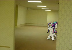 Size: 4000x2822 | Tagged: safe, artist:partypievt, oc, oc only, oc:indigo wire, pony, unicorn, female, mare, solo, the backrooms