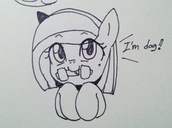 Size: 1195x891 | Tagged: safe, artist:maren, oc, oc only, oc:poniko, pony, 2017, behaving like a dog, bust, chew toy, dialogue, female, hooves to the chest, old art, solo, traditional art
