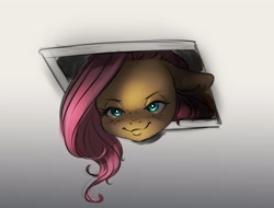 Size: 4000x3044 | Tagged: safe, artist:miokomata, fluttershy, pegasus, pony, g4, behaving like a cat, ceiling pony, creepy, creepy smile, female, floppy ears, freckles, freckleshy, high res, looking at you, looking down, looking down at you, mare, ponified animal photo, smiling, solo