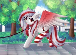 Size: 1449x1049 | Tagged: safe, artist:arllistar, oc, oc only, oc:skyshard melody, pegasus, pony, :p, clothes, collar, colorful, commission, ear piercing, female, happy, leash, mare, nature, outdoors, owned, park, pet, pet play, piercing, red hair, smiling, socks, solo, spread wings, striped socks, tongue out, tree, walking, white fur, wings, your character here