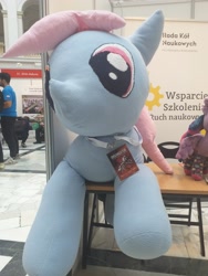 Size: 3096x4128 | Tagged: safe, twilight sparkle, oc, oc:trybik, alicorn, earth pony, human, pony, g4, badge, irl, photo, plushie, poland, polish, twilight sparkle (alicorn), university, warsaw