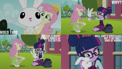 Size: 4400x2475 | Tagged: safe, edit, edited screencap, editor:quoterific, screencap, angel bunny, fluttershy, sci-twi, twilight sparkle, human, rabbit, equestria girls, g4, my little pony equestria girls: friendship games, angelbetes, animal, canterlot high, clothes, comforting, crystal prep academy uniform, cute, female, gritted teeth, heartwarming, holding a bunny, male, necktie, school, school uniform, schoolgirl, smiling, teeth, wholesome