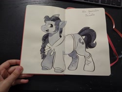 Size: 4000x3000 | Tagged: safe, artist:cutepencilcase, sunny starscout, earth pony, pony, g5, clothes, hoodie, solo, traditional art