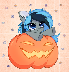 Size: 2876x2992 | Tagged: safe, artist:pesty_skillengton, oc, oc only, oc:luny, pony, chibi, cute, female, halloween, heart, heart eyes, high res, holiday, mare, pumpkin, solo, wingding eyes
