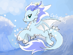 Size: 800x600 | Tagged: safe, artist:celedash, oc, dracony, dragon, hybrid, pony