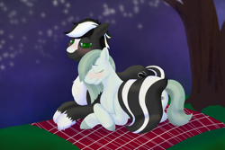 Size: 4050x2700 | Tagged: safe, artist:axiscloud, marble pie, oc, oc:zenawa skunkpony, hybrid, pony, skunk, skunk pony, g4, blanket, blushing, canon x oc, countershading, crossed hooves, cuddling, cute, dating, eyes closed, female, lidded eyes, lying down, male, mare, night, nuzzling, outdoors, pale belly, paws, prone, shy, snuggling, stallion, stars, story included, straight, tail, tail wrap, together, tree