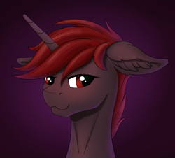 Size: 2366x2138 | Tagged: safe, artist:fess, oc, oc only, oc:hardy, alicorn, pony, bust, ear fluff, floppy ears, high res, looking at you, male, portrait, slender, solo, stallion, thin