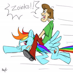 Size: 2048x2048 | Tagged: safe, artist:fanartist2020, rainbow dash, human, pegasus, pony, g4, crossover, duo, female, high res, male, riding, riding a pony, scooby-doo!, shaggy rogers, simple background, white background