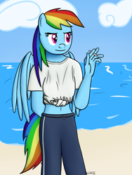 Size: 1440x1920 | Tagged: safe, artist:parronist, rainbow dash, pegasus, anthro, g4, beach, cigarette, equine, female, ocean, smoking, solo, water