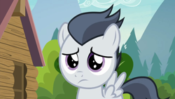 Size: 1920x1080 | Tagged: safe, screencap, rumble, pegasus, pony, g4, marks and recreation, season 7, 1080p, close-up, colt, cute, foal, frown, looking at you, male, rumblebetes, sad, sadorable, solo, spread wings, wings