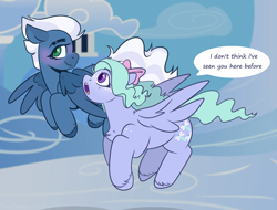 Size: 2500x1904 | Tagged: safe, artist:tired-horse-studios, flitter, night glider, pegasus, pony, g4, blushing, cloudsdale, female, lesbian, mare, nightflitter, rare mare, shipping, unshorn fetlocks