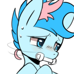 Size: 600x600 | Tagged: safe, artist:maren, oc, oc only, oc:blue chewings, earth pony, pony, 2015, bust, chew toy, icon, looking away, old art, reaction image, shy, simple background, solo, sweat, sweatdrop, white background