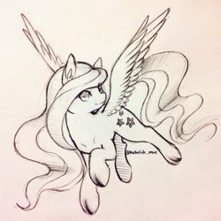 Size: 743x743 | Tagged: safe, artist:jmocha0701, oc, oc only, oc:sky sherbet, pegasus, pony, female, flying, looking at you, mare, raised hoof, sketch, solo, spread wings, traditional art, wings