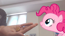 Size: 1280x720 | Tagged: safe, pinkie pie, earth pony, human, pony, g4, candy, cute, diapinkes, female, food, irl, mare, photo, ponies in real life, smiling, solo