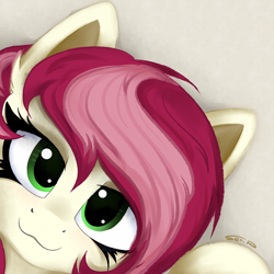 Size: 4000x4000 | Tagged: safe, artist:ser-p, roseluck, earth pony, pony, g4, :3, absurd resolution, cute, female, looking at you, mare, rosabetes, signature, simple background, smiling, solo
