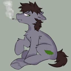 Size: 960x960 | Tagged: safe, artist:korpsegutz, oc, oc only, oc:theta h, pony, blunt, brown mane, drugs, heart, hoof heart, leaf, male, marijuana, short tail, simple background, smoke, smoke weed everyday, smoking, solo, tail