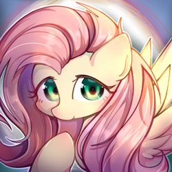 Size: 1080x1080 | Tagged: source needed, safe, artist:flutershe, fluttershy, pegasus, pony, g4, cute, shyabetes, solo