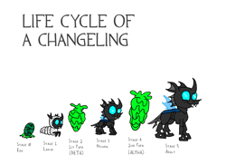 Size: 3508x2552 | Tagged: safe, artist:dragonboi471, changeling, changeling larva, nymph, caption, changeling egg, changeling slime, cocoon, egg, evolution chart, high res, image macro, life cycle, text