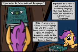 Size: 1920x1280 | Tagged: safe, artist:vulchrys, scootaloo, pony, g4, book, esperanto, language, solo