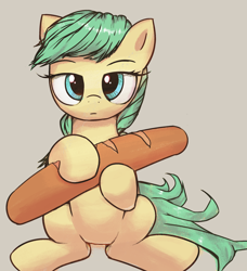 Size: 2030x2222 | Tagged: safe, artist:vultraz, sunshower raindrops, pegasus, pony, g4, baguette, bread, female, food, high res, hoof hold, looking at you, mare, simple background, sitting, solo, that pony sure does love bread