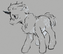 Size: 1143x976 | Tagged: safe, artist:geonid, derpibooru exclusive, oc, oc only, original species, pony, unicorn, chest fluff, digital art, ear fluff, fluffy, horn, lineart, male, monochrome, sketch, solo, stallion, unicorn oc