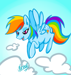 Size: 800x850 | Tagged: safe, artist:sharkandraccoon, rainbow dash, pegasus, pony, g4, backwards cutie mark, female, flying, solo