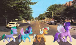 Size: 1191x710 | Tagged: safe, glory (g5), peach fizz, pipp petals, seashell (g5), earth pony, pegasus, pony, unicorn, g5, abbey road, female, filly, foal, hoof done it?, the beatles, where'd it go