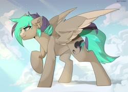 Size: 2048x1463 | Tagged: safe, artist:butterbit, oc, oc only, pegasus, pony, raised hoof, sky background, solo