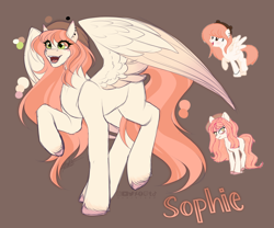 Size: 2712x2256 | Tagged: safe, artist:sparkie45, oc, oc:sophie, pegasus, pony, brown background, female, high res, mare, simple background, solo