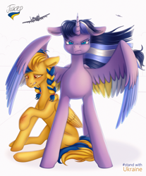 Size: 2480x3000 | Tagged: safe, artist:hajster, oc, oc only, oc:paddy sparkle, oc:ukraine, alicorn, pegasus, pony, a-10 thunderbolt ii, alicorn oc, blurr, braid, braided ponytail, commission, current events, defending, fighter, high res, horn, injured, nation ponies, not twilight sparkle, plane, ponified, rainbow power, sitting, spread wings, standing, ukraine, wings, ych result