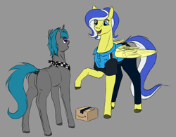 Size: 2750x2150 | Tagged: safe, artist:stray prey, oc, oc only, oc:lemon frost, oc:lucent, pegasus, pony, unicorn, box, clothes, dock, duo, female, gray background, high res, mare, neckerchief, open mouth, raised hoof, simple background, tail, wings