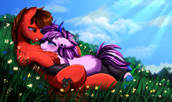 Size: 3517x2095 | Tagged: safe, artist:pridark, oc, oc only, oc:katon ora, oc:purple mayflower, earth pony, pony, succubus, blue sky, blushing, cloud, couple, cute, daaaaaaaaaaaw, duo, earth pony oc, flower, high res, hug, looking at each other, looking at someone, sun rays