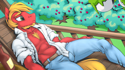 Size: 1920x1080 | Tagged: safe, artist:mysticalpha, part of a set, big macintosh, earth pony, anthro, unguligrade anthro, g4, abs, apple, apple tree, beard, beer bottle, belly button, bottle, chest hair, clothes, denim, facial hair, jeans, looking at something, lounging, male, open clothes, open shirt, pants, solo, stallion, stupid sexy big macintosh, toned, tree, watermark