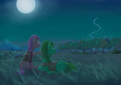 Size: 2450x1720 | Tagged: safe, artist:marker, oc, oc only, oc:anon, oc:anon stallion, oc:willow wisp, bat pony, earth pony, pony, cyoa, cyoa:fatelocked, female, field, full moon, grass, grass field, male, mare, moon, moonlight, ponybooru import, sitting, stallion, will o' the wisp, woodlands