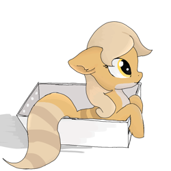 Size: 1000x1000 | Tagged: safe, artist:celedash, oc, pony, box, eublepharis macularius, pony in a box, simple background, white background