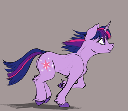 Size: 2223x1929 | Tagged: safe, artist:crimsonwolf360, twilight sparkle, pony, unicorn, g4, cheek fluff, chest fluff, ear fluff, female, hooves, leg fluff, looking forward, raised hoof, raised leg, short mane, simple background, slender, smiling, solo, thin, unicorn twilight, unshorn fetlocks, windswept mane