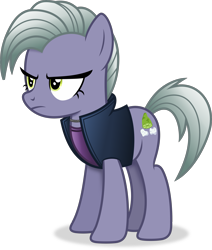 Size: 2899x3414 | Tagged: safe, alternate version, artist:anime-equestria, limestone pie, earth pony, pony, g4, annoyed, clothes, female, high res, jacket, jewelry, mare, necklace, simple background, solo, transparent background, vector