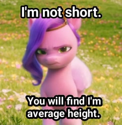 Size: 720x735 | Tagged: safe, edit, edited screencap, screencap, pipp petals, pegasus, pony, g5, my little pony: a new generation, spoiler:my little pony: a new generation, average height, blatant lies, chubby, denial's not just a river in egypt, female, height angst, mare, pipp is short, pipp petals is not amused, short, solo, unamused