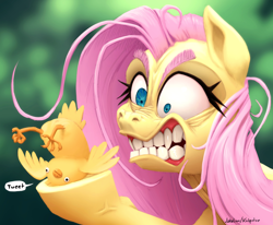 Size: 3508x2885 | Tagged: safe, artist:docwario, artist:katputze, fluttershy, bird, pegasus, pony, g4, angry, bust, collaboration, faic, female, fluttober, gritted teeth, high res, hoof hold, mare, out of character, pun, reddened eyes, scary, simplistic cloaca, solo, speech bubble, teeth, visual pun