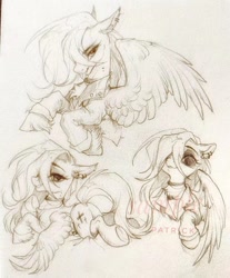 Size: 1080x1307 | Tagged: safe, artist:paipaishuaige, oc, oc only, pegasus, pony, sketch, solo, traditional art