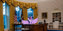 Size: 1024x512 | Tagged: safe, edit, twilight sparkle, alicorn, pony, g4, female, irl, mare, photo, ponies in real life, solo, spread wings, twilight sparkle (alicorn), united states, white house, wings