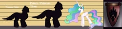Size: 10880x2632 | Tagged: safe, oc, alicorn, earth pony, pegasus, pony, unicorn, information, race, titans