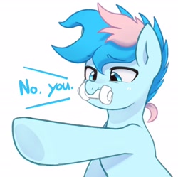 Size: 2498x2486 | Tagged: safe, artist:maren, oc, oc only, oc:blue chewings, earth pony, pony, 2020, 2021, bust, dialogue, high res, no u, old art, pointing, simple background, solo, white background