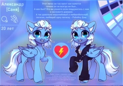 Size: 4000x2800 | Tagged: safe, artist:radioaxi, oc, oc only, pegasus, pony, blue coat, blue eyes, blue wings, clothes, colored, cyrillic, high res, hooves, looking at you, male, raised hoof, reference sheet, russian, slender, solo, standing, thin, wings